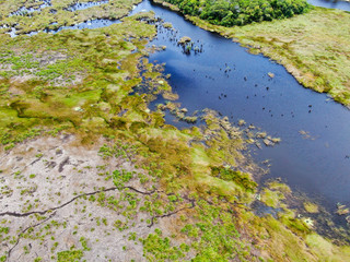 Aerial view of tropical rain forest, jungle in Brazil. Green Wetland forest with river, lush ferns and palms trees. Praia do Forte, Brazil