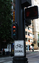 Bicycle road traffic light on the transition lights in red