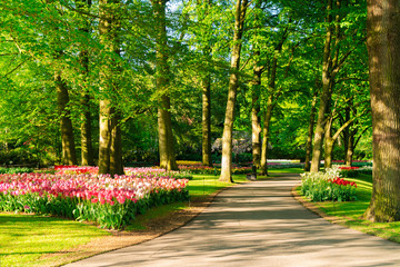Formal spring garden