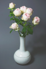 Beautiful pink roses close up macro flowers photo