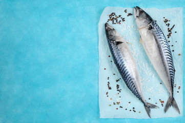 Raw mackerel fish with ingredients for cooking on a blue background.