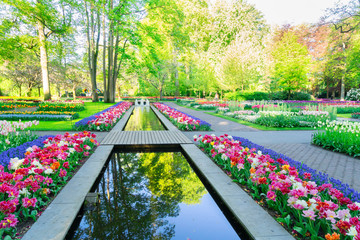 Obraz premium spring pond in park