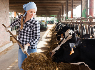 Woman working on dairy farm