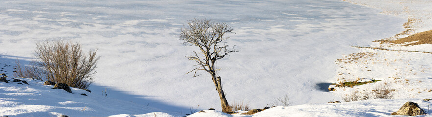 Fototapeta na wymiar panorama sur les bords d'un lac glacé