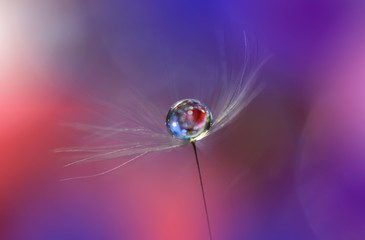 Beautiful spring nature blossom web banner or header. Blurred space for your text.Colorful Artistic Orange Background.Conceptual abstract image.Beautiful nature with dandelion flowers.Floral Fantasy .