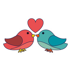 birds couple kiss with heart blue lines