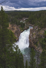 Waterfall in the forest with bridge on the top. Yellowstone national park with dark clouds and rainy weather. Power of water with green shades. 