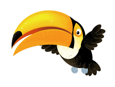 recommend clip art: cartoon scene with toucan on white background - illustration for children