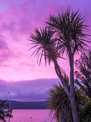 Fototapeta na wymiar Te Anau lake at sunset in New-Zealand