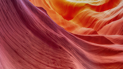 Canyon Antelope with amazing colors and waves, Arizona, USA