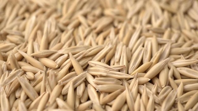 Footage rotate raw oats closeup background.