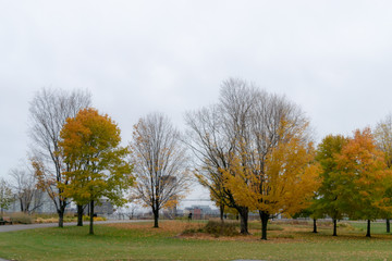 A square in autumn