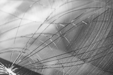 Monochrome broken windshield