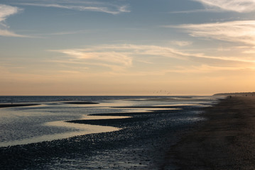 Hilton Head Island coastline at dusk with birds and silhouettes