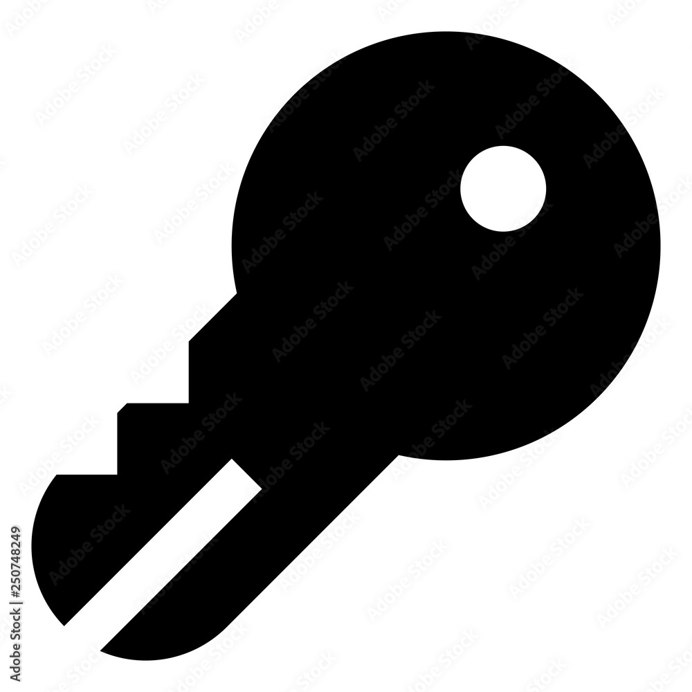 Poster access key vector icon