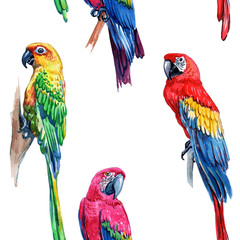 Watercolor seamless pattern of tropical leaves and birds. Scarlet macaw parrot and green Alexandrine parrot.  - Illustration