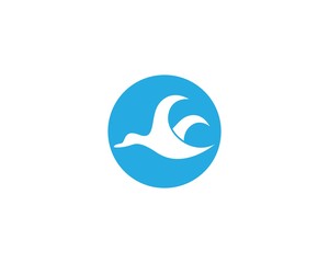 Duck logo template vector icon illustration design