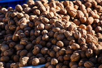 nueces