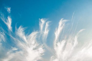 Soft white cloud and blue sky background