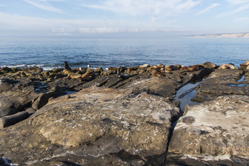 La Jolla Cove 