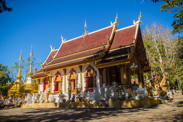 Fototapeta na wymiar Beautiful golden pagodas at Wat Phra That Doi Tung, Chiang Rai. Wat Phra That Doi Tung comprises of a twin Lanna-style stupas, one of which is believed to contain the left collarbone of Lord Buddha.