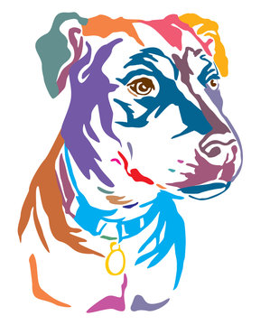 Colorful decorative portrait of Mongrel Dog vector illustration