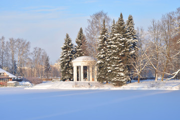 Winter landscape in park.