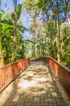 Walkway into the temple in the forest that constructed with brick floor and steel fence.