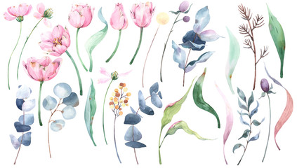 Obraz na płótnie Canvas Set of hand painted watercolor illustrations with flowers, tulips, eucalyptus brunches, leaves, wild flowers for textile, paper crafts and design