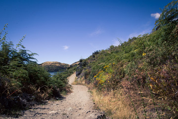 Hiking trail south island New Zealand
