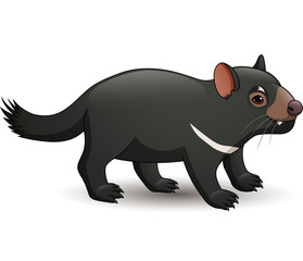 Illustration of Tasmanian devil isolated on white background