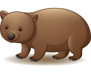 Illustration of wombat isolated on white background