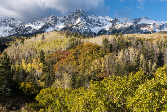 Mount Sneffels Mountain Range with a fresh early autumn snow. Aspen, Pine and Scrub Oak add to the colorful foreground. 