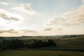 Campos de cima da Serra