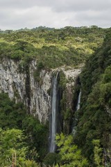 C&acirc;nions Sul do Brasil