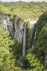C&acirc;nions Sul do Brasil