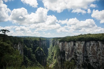 C&acirc;nions Sul do Brasil