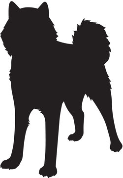 43 Best 北海道犬 Images Stock Photos Vectors Adobe Stock 43 Best 北海道犬 Images Stock Photos Vectors Adobe Stock