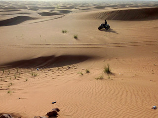 Fototapeta na wymiar Desert of Dubai. United Arab Emirates. Year 2004