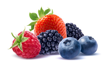 Wild Berries Group Isolated On White Background