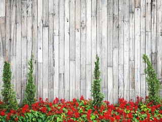 flower with plant and plank wall