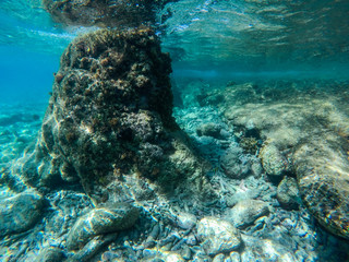 Curacao Cas Abou Beach