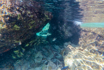 Curacao Cas Abou Beach