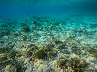 Fototapeta na wymiar Curacao Cas Abou Beach
