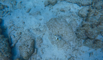 Curacao Cas Abou Beach