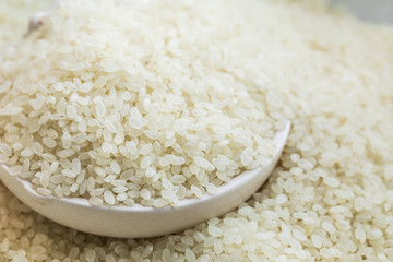 texture of short rice japan uncooked. high magnification