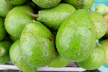 fresh avocados are ready for consumption