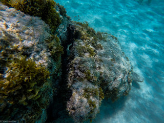 Klein Curacao