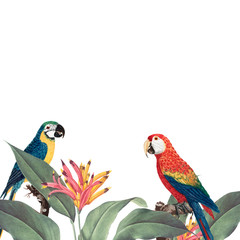Macaw tropical foliage mockup illustration