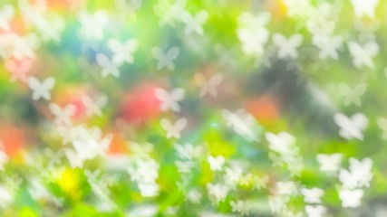 Butterfly bokeh background. 